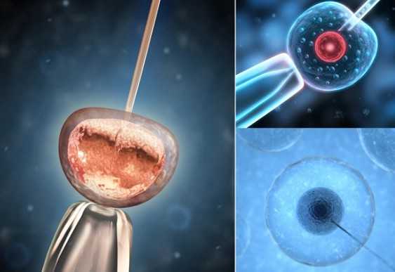 3·29星象解码：解锁十二星座独特运势