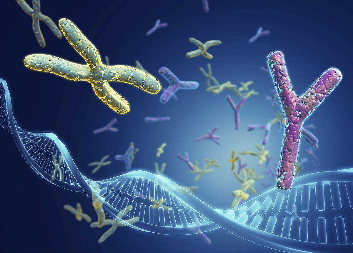 蛇年送惊喜 | 初七：与蛇俱进