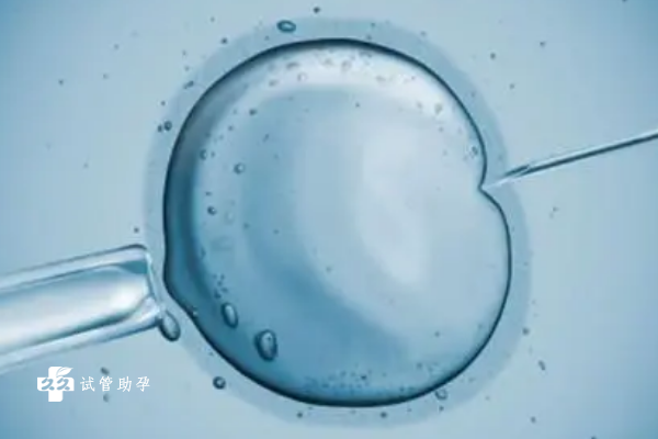 一生平安顺遂的3生肖，运气超佳，诸事皆如意