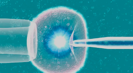 巨蟹座最有钱的4个属相