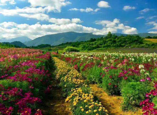 老话说：“夫妻同属相，生活大变样”，属相一样到底是好是坏？