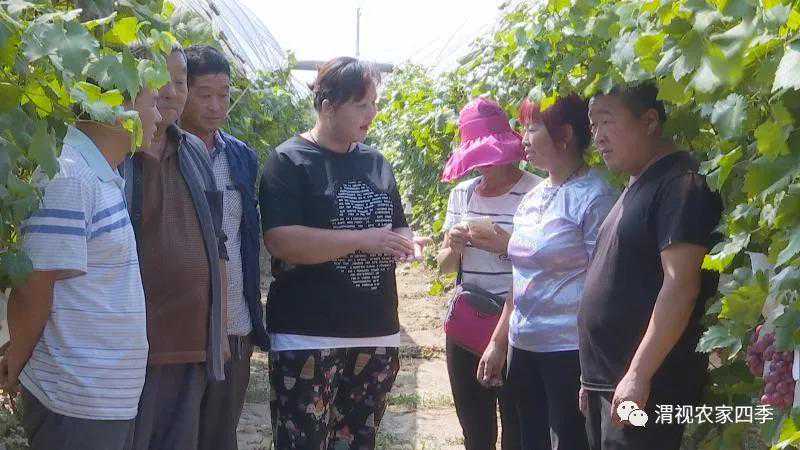 TFBOYS:王俊凯、王源、易烊千玺,选择会将人推向不一样的人生