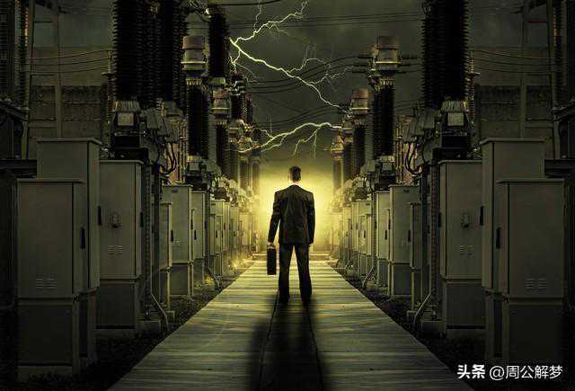 抑郁症女子养宠物鸡上热搜：选择了它就对它负责到底