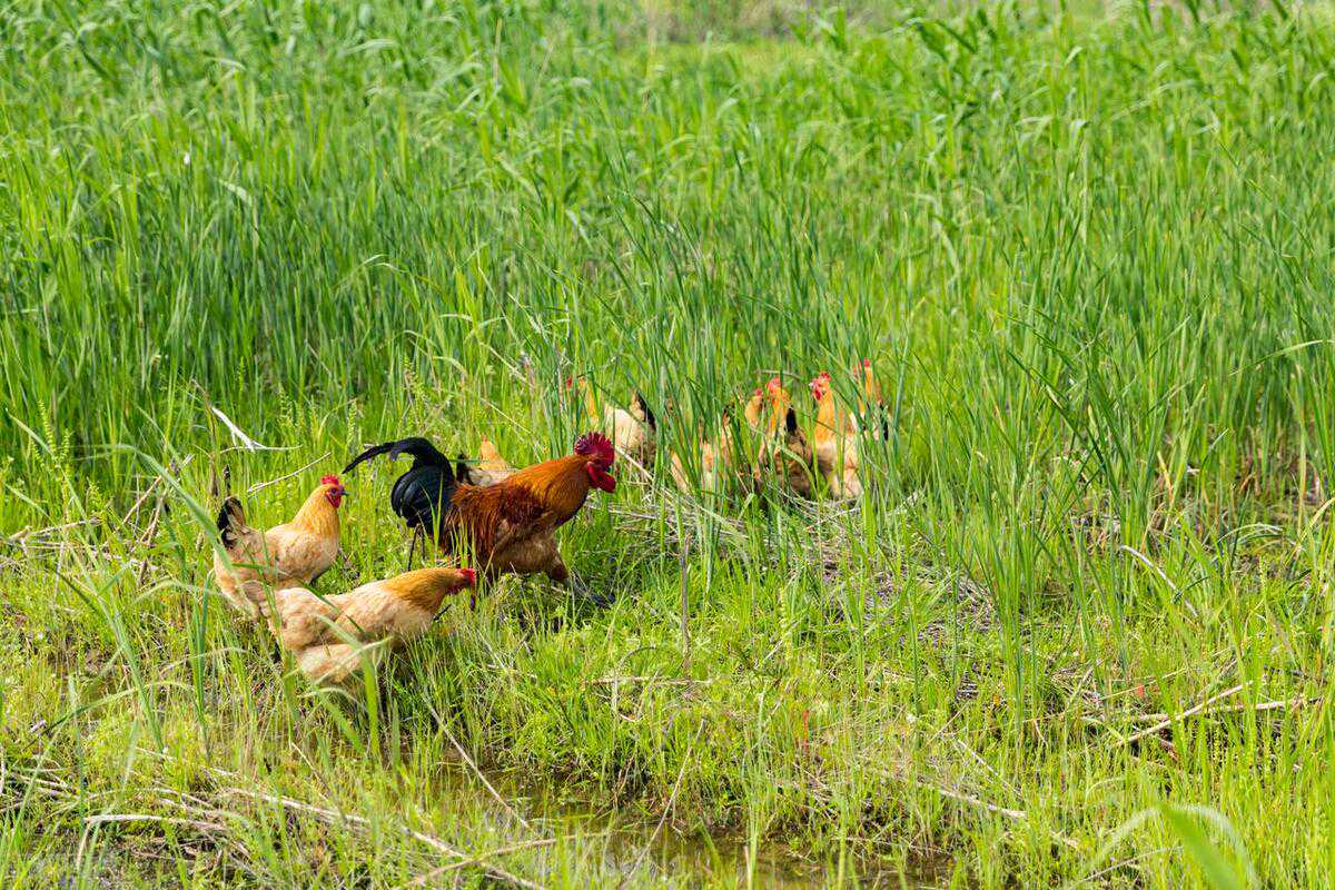 射手座♐4.18日运势提醒