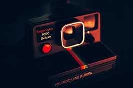 120元一斤！长沙人都出动了，随手摘一篮：满满的回忆杀