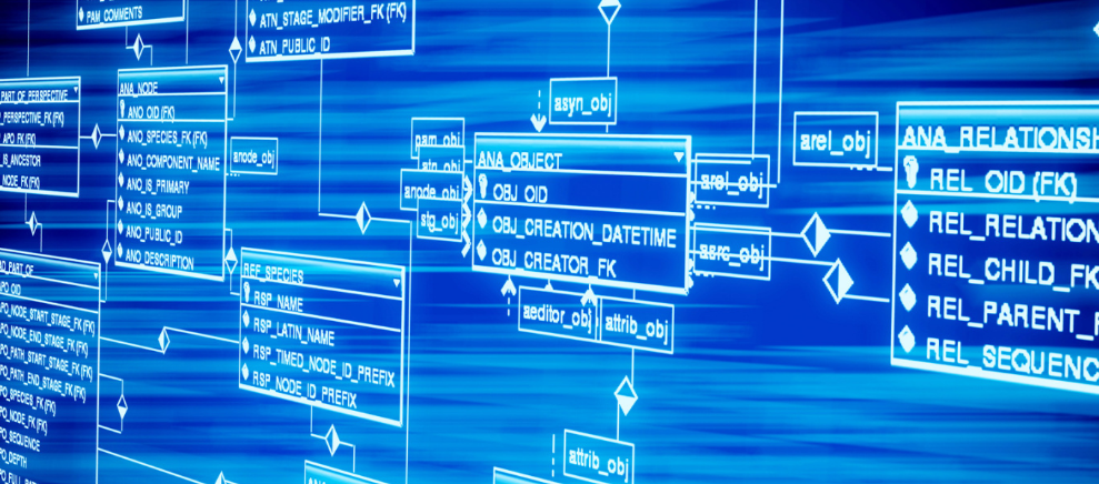 狮子座必知！下周“大变脸”，一定注意这几点！