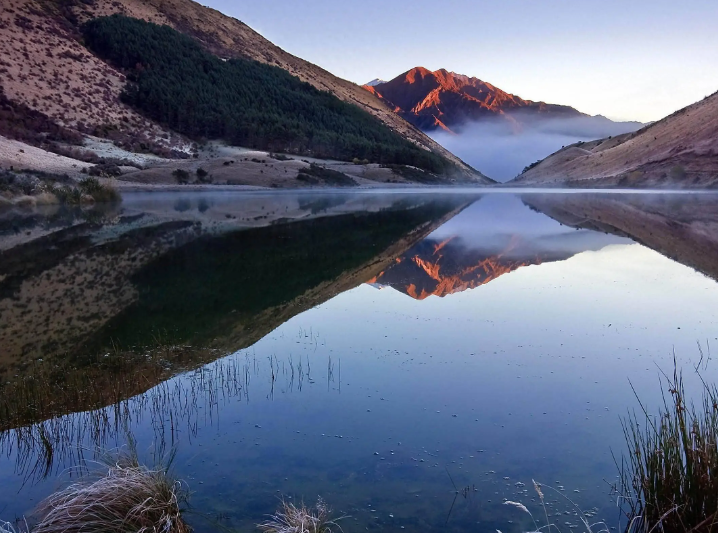 生肖狗最顺风顺水的6个出生月份，子女孝顺有出息，家旺财旺！