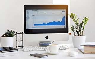 肖猪人：就在下个星期！财路大开，走上事业巅峰，钱财多到数不清